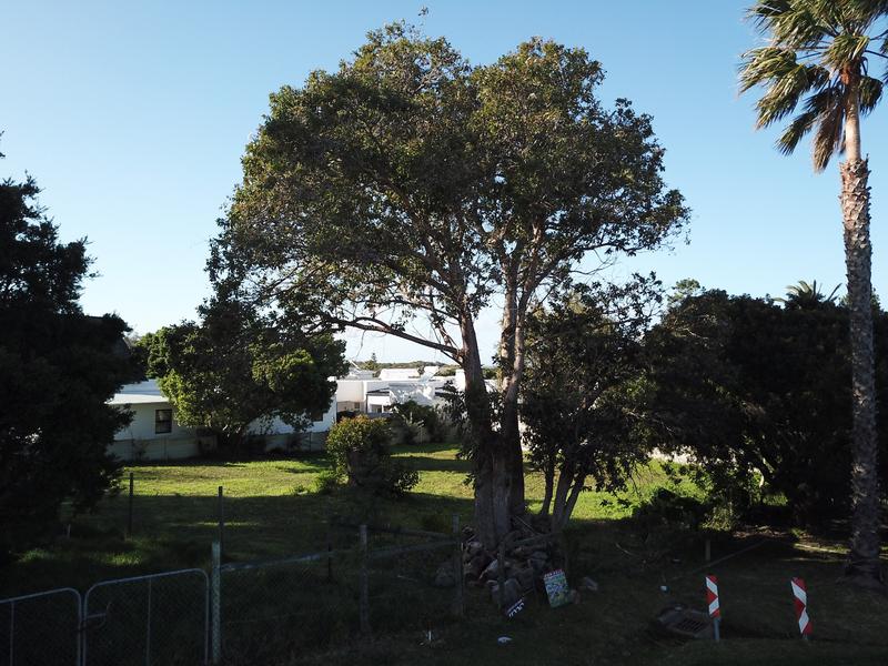 0 Bedroom Property for Sale in Onrus Western Cape
